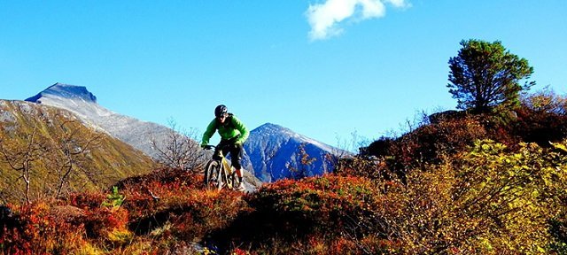 Syrian Refugees Biking Across the Arctic Border