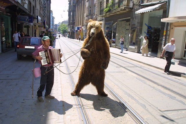 Watch For Your Feet When Dancing With a Russian Bear