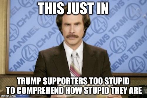 Trump Supporter Average IQ is Below 90