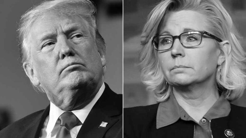 How Liz Cheney is Carving Trump One Slice at a Time